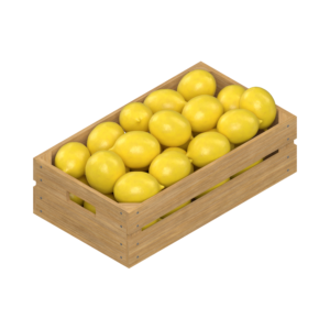 Fresh Lemon (5 kg per Box)