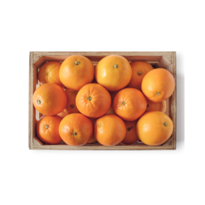 Fresh Orange (5 kg per Box)