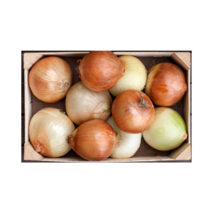 Onion (5 kg per Box)